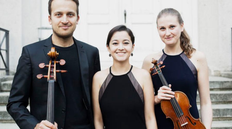 Trio Marvin - Freunde Junger Musiker